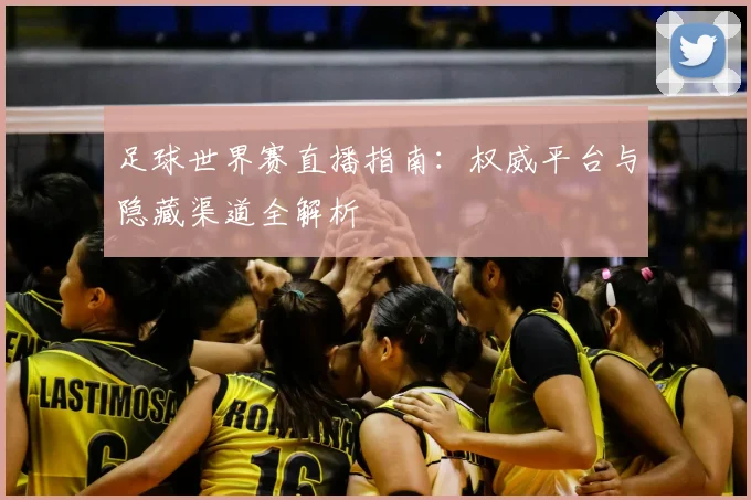 足球世界赛直播指南：权威平台与隐藏渠道全解析